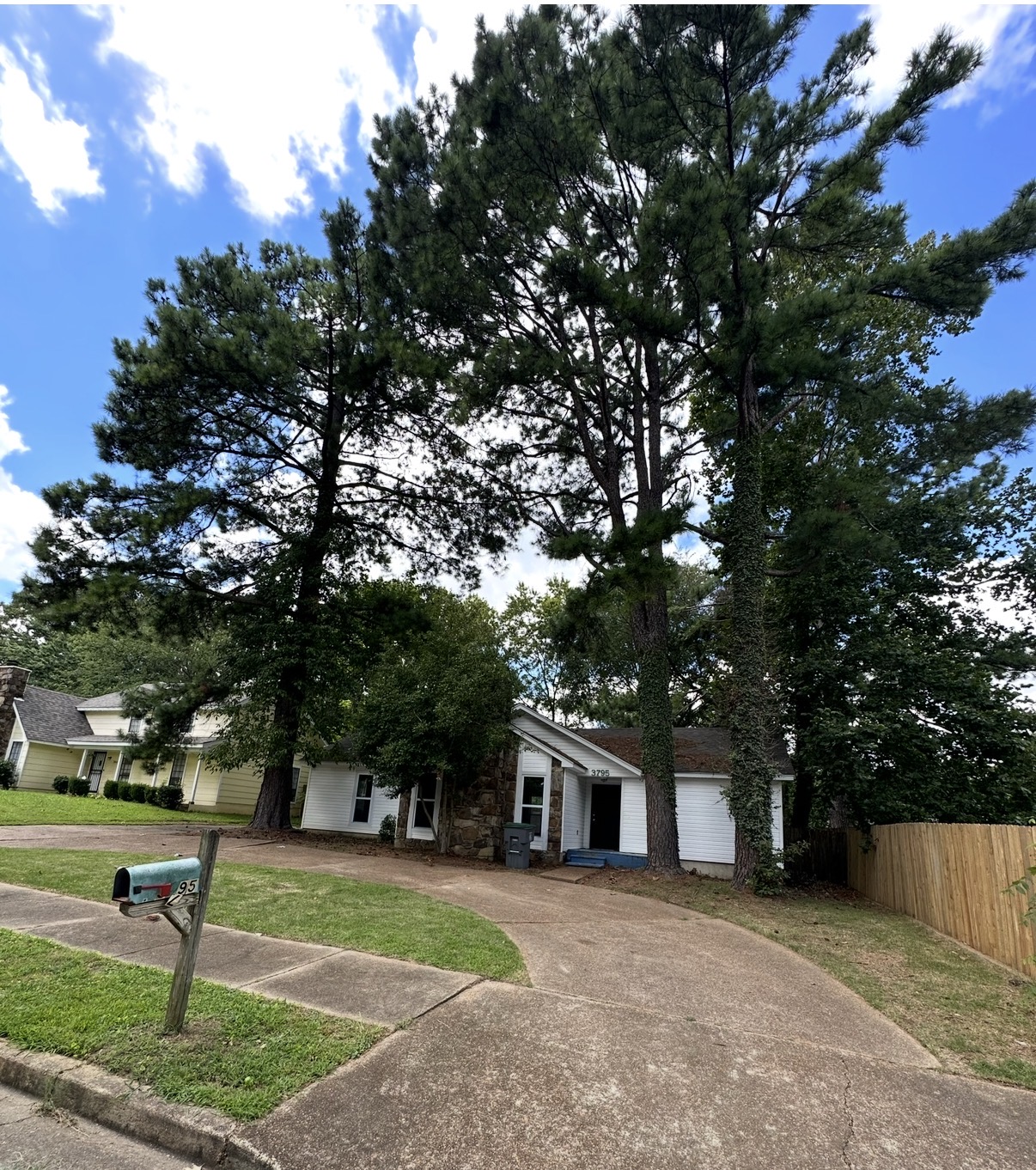 Expert tree removal in Memphis, Tn.  Thumbnail